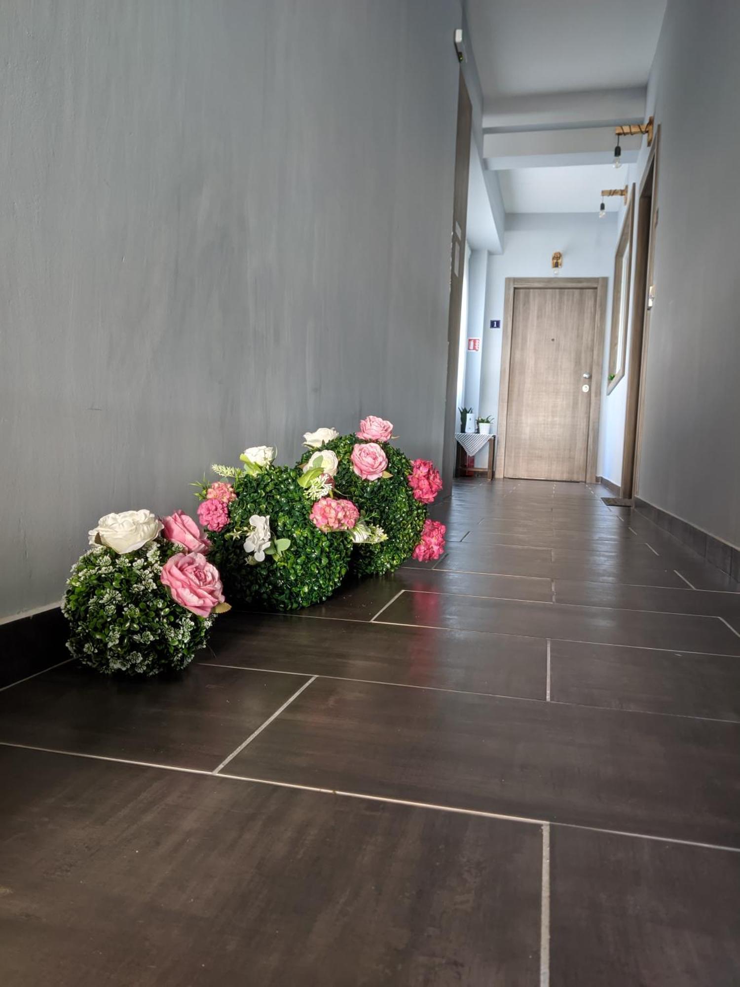 Aristo Apartment *