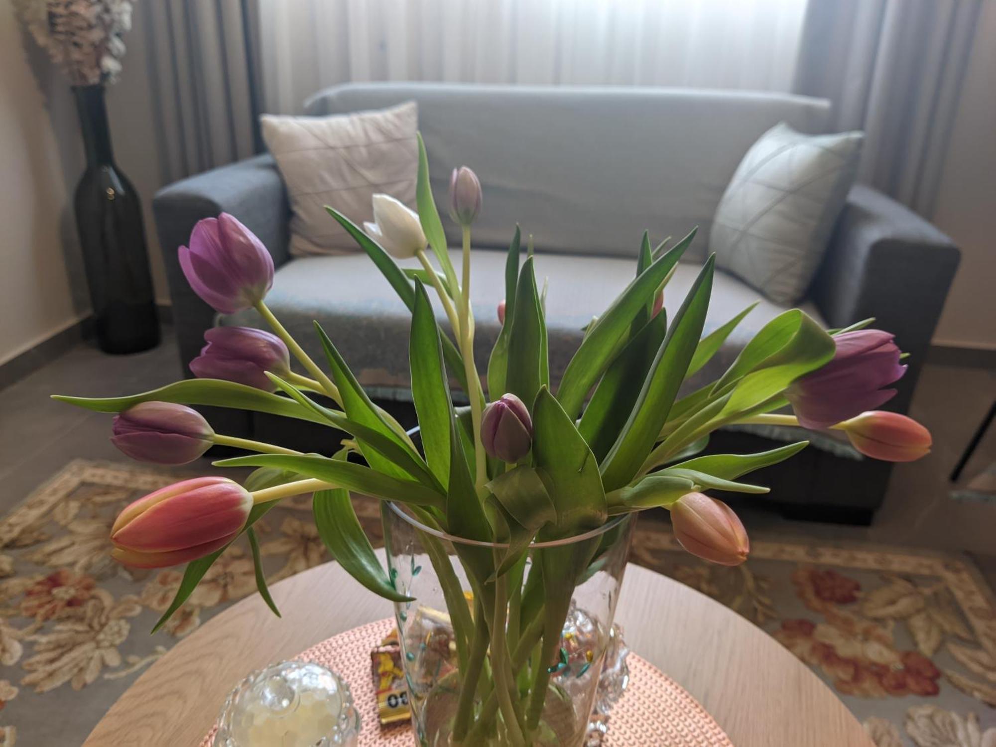 Apartment Aristo