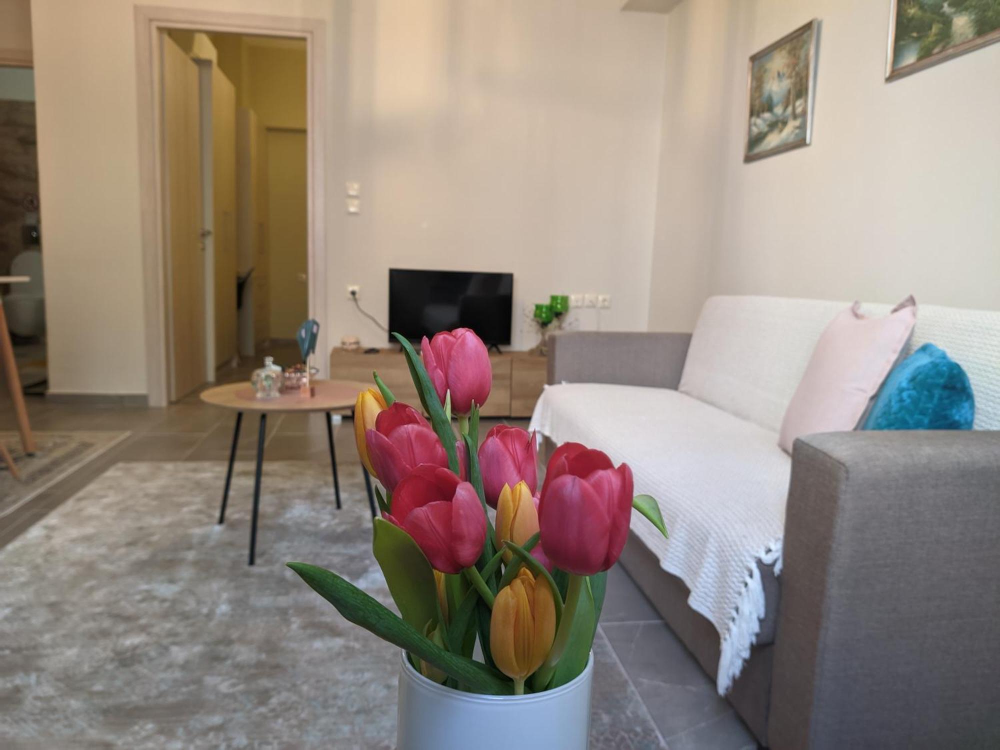 Aristo Apartment