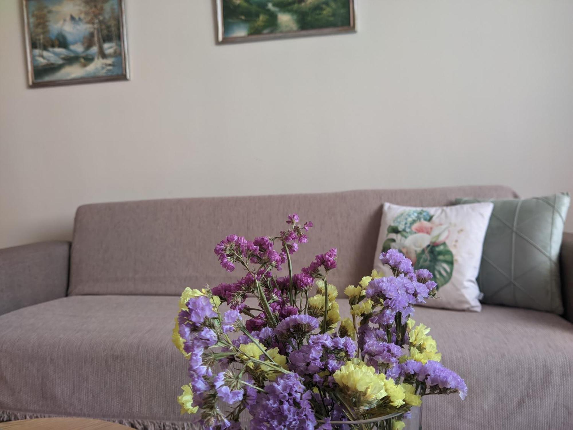 Apartment Aristo *