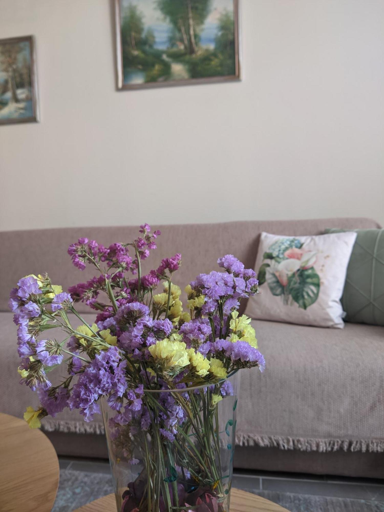 Aristo Apartment
